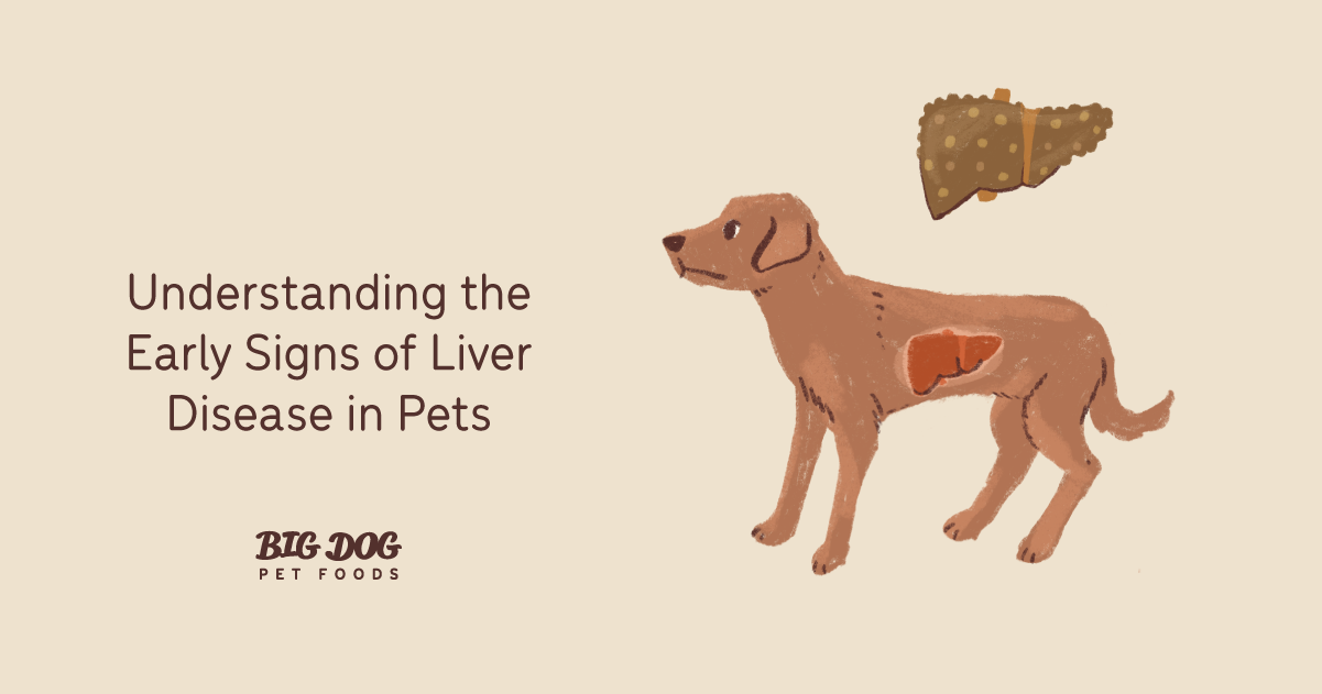 Understanding the Early Signs of Liver Disease in Pets Guides Big